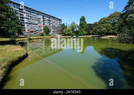 ©PHOTOPQR/VOIX DU Nord/Thierry Thorel ; 09/08/2022 ; Tourcoing - Le 9 aout 2022 : la faune et la flore en souffrance dans les etangs du Parc en raison les conditions climatiques de cet ete - Foto : Thierry THOREL / La Voix du Nord - Tourcoing, Frankreich, august 9. 2022 Historische Dürre in Frankreich Stockfoto