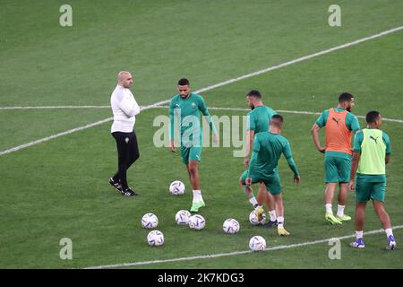 ©Manuel Blondau/AOP Press/MAXPPP - 22/09/2022 Barcelona Hoalid Rebragui Cheftrainer Marokkos während des Trainings vor dem FIFA International Freundschaftsspiel zwischen Marokko und Chile im RCDE Stadion am 22. September 2022 in Barcelona, Spanien. Stockfoto