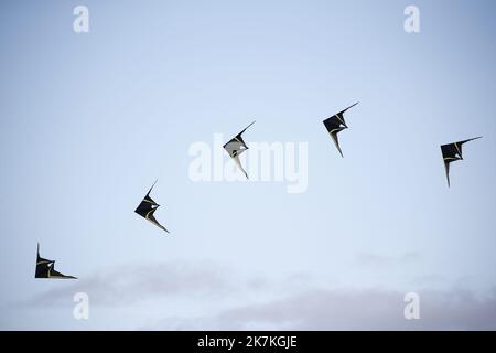 Thierry LARRET/MAXPPP. Festival Aeronautique. Ailes et Volcans Cervolix. Le 2 octobre 2022 Aerodrome Issoire Le Broc. Issoire (63). Cerf Volant Stockfoto