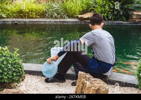 Asiatischer männlicher Arbeiter kümmern sich und füttern Nahrung von Hand zu seinem schönen Haustier. Kerl Fütterung Herde von japanischen schönen bunten Koi Karpfen Fisch schwimmen in po Stockfoto