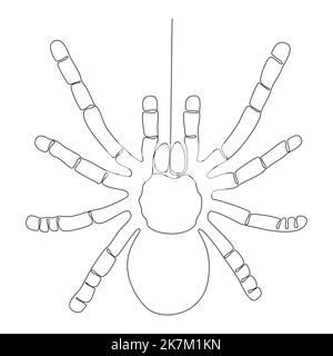 Eine durchgehende Spinnenlinie. Vektor-Konzept der dünnen Linie Illustration. Konturzeichnen Kreative Ideen. Stock Vektor