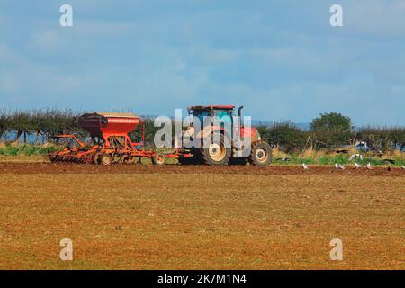 Ein lokaler Landwirt, der auf seinem Traktor unterwegs ist, schleppt eine automatische Sämaschine für das nächste Erntegut auf diesem kürzlich gepflügten Feld. Stockfoto