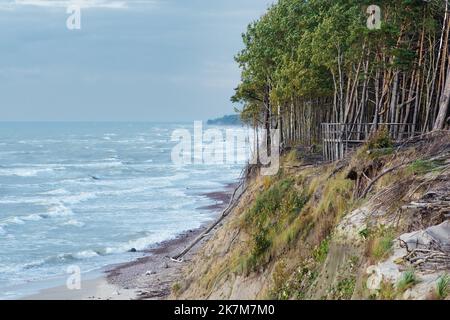 Der Holländer Cap, im litauischen Olando kepurė, Hügel oder parabolische Dünen mit Kiefern, die durch äolische Prozesse auf einem Moränenrücken, Ostsee, geschaffen wurden Stockfoto