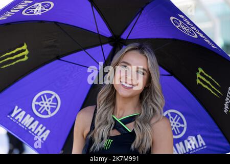 Phillip Island, Australien, 16. Oktober 2022. Monster Energy Grid Girl beim Start des australischen MotoGP 2022 auf dem Phillip Island Circuit am 16. Oktober 2022 in Phillip Island, Australien. Quelle: Ivica Glavas/Speed Media/Alamy Live News Stockfoto