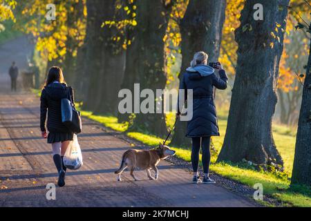 Preston, Lancashire. Wetter in Großbritannien; 18. Oktober 2022. Die Sonne geht über dem River Ribble auf, während die Anwohner in der Morgendämmerung am Riverside Walk, einem kalten nebligen Start in den Tag, leichte Übungen machen. Avenham Park Familienbereich, Rad- und Wanderwege im Nordwesten Englands. Kredit; MediaWorldImages/AlamyLiveNews Stockfoto