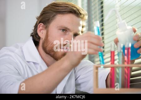 Männliche Wissenschaftler untersuchen Reagenzglas Stockfoto