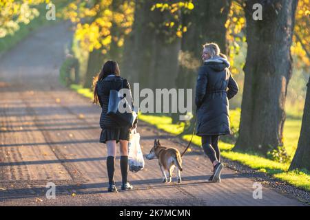 Preston, Lancashire. Wetter in Großbritannien; 18. Oktober 2022. Die Sonne geht über dem River Ribble auf, während die Anwohner in der Morgendämmerung am Riverside Walk, einem kalten nebligen Start in den Tag, leichte Übungen machen. Avenham Park Familienbereich, Rad- und Wanderwege im Nordwesten Englands. Kredit; MediaWorldImages/AlamyLiveNews Stockfoto