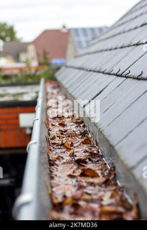 Ein Porträt einer verstopften Dachrinne mit vielen heruntergefallenen braunen Herbstblättern darin und Wasser, das nicht abgelassen werden kann. Dies ist eine jährliche Aufgabe während f Stockfoto