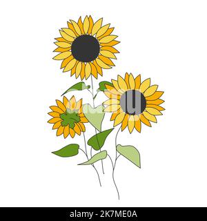 Sonnenblumen Blumen und Blätter Design, botanische Farbe dünne Linie Doodle helianthus. Florale Motive für Tattoo Print Wandkunst Cover. Ästhetisch elegant einfach trendige Kontur Vektor Illustration. Stock Vektor