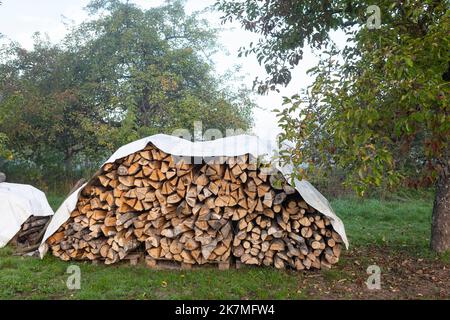 Der Stapel des Holztrocknens auf der Wiese in Deutschland Stockfoto