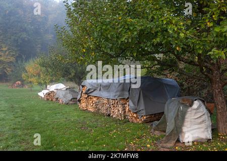 Der Stapel des Holztrocknens auf der Wiese in Deutschland Stockfoto