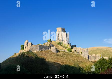 Blick auf die Ruinen von Corfe Castle aus dem 11.. Jahrhundert bei Sonnenschein, Isle of Purbeck, Dorset, England, Großbritannien Stockfoto