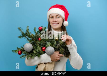 Zufrieden nette junge Brünette Frau in Weihnachten roten Hut hält Bouquet von Fichtenzweigen sieht verträumt weg Posen vor blauem Studio Hintergrund recal Stockfoto