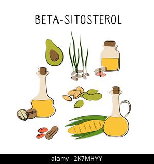 Beta-sitosterol-containing food. Groups of healthy products containing vitamins and minerals. Set of fruits, vegetables, meats, fish and dairy. Stock Vektor
