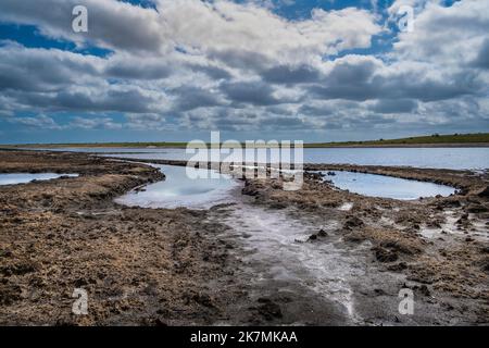 Rückläufige Küstenlinie und ausgetrocknete Erde, die durch fallende Wasserstände verursacht wurden, die durch schwere Dürrebedingungen im Colliford Lake Reservoir auf Bodmin Moor in verursacht wurden Stockfoto