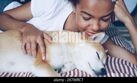 Nahaufnahme des liebenden Hundebesitzers, der liebliches Haustier streichelt, das zusammen auf dem Bett liegt, streichelt das Mädchen niedliches Tier und kratzt an seinem Fell, was Liebe und Zärtlichkeit ausdrückt. Stockfoto