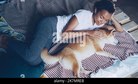 Süßes afroamerikanisches Mädchen streichelte den reinrassigen shiba-Inu-Hund, der auf dem Bett liegt, während das Tier Liebe und Zärtlichkeit genießt. Tiere lieben, junge Menschen lieben und Entspannungskonzept. Stockfoto