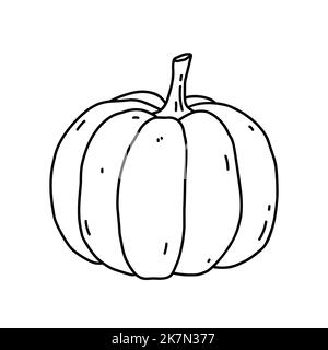 Kürbis isoliert auf weißem Hintergrund. Gesunde Bio-Lebensmittel. Vektor-handgezeichnete Illustration im Doodle-Stil. Perfekt für Karten, Logo, Dekorationen, Rezepte, verschiedene Designs. Stock Vektor