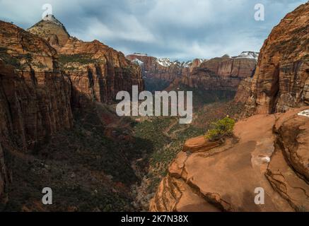 Ein natürlicher Blick auf den Zion National Park und die Straße zum Besucherzentrum in Utah, USA Stockfoto