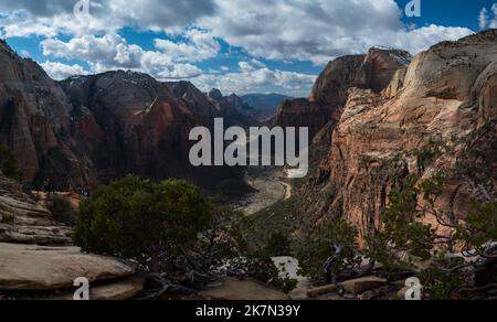 Ein natürlicher Blick auf den Zion National Park und die Straße zum Besucherzentrum in Utah, USA Stockfoto