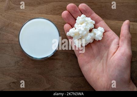 Milch Kefir Körner in der Hand auf einem hölzernen Hintergrund, selektiv Stockfoto