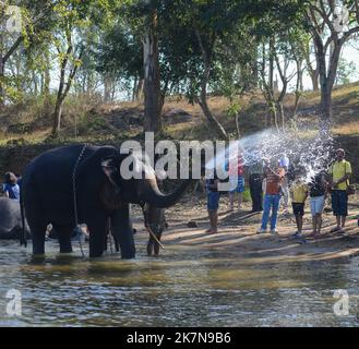 Coorg, Indien - 8. Januar 2014 - ein indischer Elefant spritzt Wasser auf Touristen im Fluss Kaveri in Coorg in Indien Stockfoto