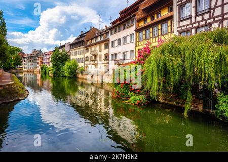 Traditionelle, farbenfrohe Häuser, die sich in der Ill im Viertel La Petite France, Straßburg, Elsass, Frankreich spiegeln Stockfoto