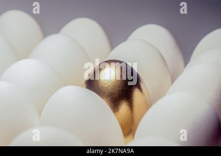 Ein goldenes Ei sitzt unter vielen regulären Eiern und sticht wirklich heraus Stockfoto