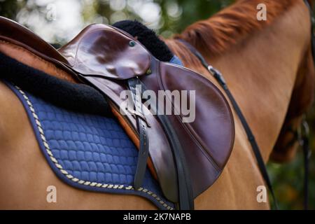 Ein Mann aus Leidenschaft reitet auf einem Pferd. Ein Pferd, das draußen steht. Stockfoto