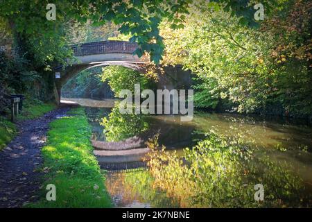 Bridgewater Canal und Towpath an der Grappenhall Bridge, Grappenhall Village, South Warrington, Ceshire, England, VEREINIGTES KÖNIGREICH Stockfoto