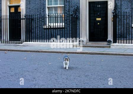 London, England, Großbritannien. 18. Oktober 2022. Larry, die Katze, wird vor der Downing Street 10 gesehen, als sich das Kabinett trifft. (Bild: © Tayfun Salci/ZUMA Press Wire) Bild: ZUMA Press, Inc./Alamy Live News Stockfoto