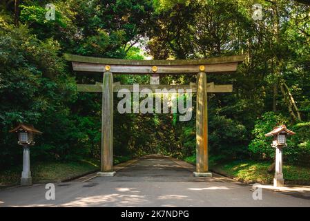 Torii der Meiji-schrein in Tokyo, Japan Stockfoto