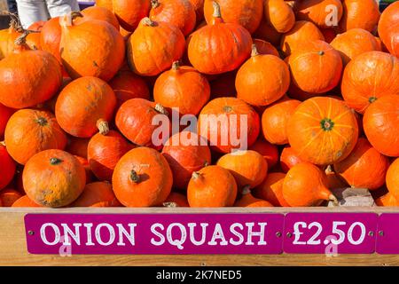 Kürbis-Zeit auf der Sunnyfields Farm in Totton, Hampshire, Großbritannien, im Oktober, als Halloween naht - Zwiebel-Squash, Cucurbita maxima, zum Verkauf Stockfoto