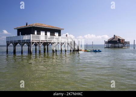 La Teste de Buch (Südwestfrankreich): Arcachon-Becken: Zwei „cabanes tchanquees“ (Pfahlbauten), typische Holzhütten auf Stelzen, in der Nähe von „l’ile A“ Stockfoto