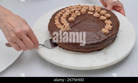 Hausgemachte Schokoladenkuchen mit Schokoladencreme-Zuckerguss und Schokoladenganache aus nächster Nähe auf dem Drahtschnittich auf dem Küchentisch Stockfoto