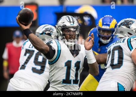 Carolina Panthers Quarterback PJ Walker (11) gibt den Ball während eines NFL Football-Spiels gegen die Los Angeles Rams am Sonntag, den 16. Oktober 2022, in Inglewood, Kalifornien Die Rams besiegten die Panthers 24:10. (Ed Ruvalcaba/Bild des Sports) Stockfoto