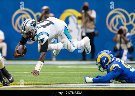 Carolina Panthers Quarterback PJ Walker (11) wird von Los Angeles Rams Defensive Tackle Marquise Copeland (93) während eines NFL Football-Spiels am Sonntag, den 16. Oktober 2022, in Inglewood gestürzt. Kalif. Die Rams besiegten die Panthers 24:10. (Ed Ruvalcaba/Bild des Sports) Stockfoto