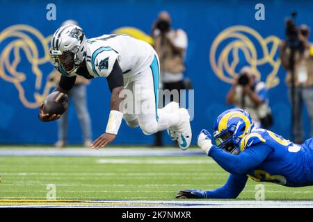 Carolina Panthers Quarterback PJ Walker (11) wird von Los Angeles Rams Defensive Tackle Marquise Copeland (93) während eines NFL Football-Spiels am Sonntag, den 16. Oktober 2022, in Inglewood gestürzt. Kalif. Die Rams besiegten die Panthers 24:10. (Ed Ruvalcaba/Bild des Sports) Stockfoto