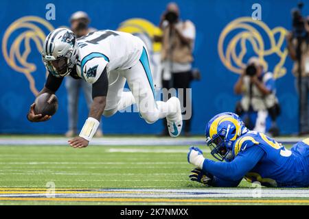 Carolina Panthers Quarterback PJ Walker (11) wird von Los Angeles Rams Defensive Tackle Marquise Copeland (93) während eines NFL Football-Spiels am Sonntag, den 16. Oktober 2022, in Inglewood gestürzt. Kalif. Die Rams besiegten die Panthers 24:10. (Ed Ruvalcaba/Bild des Sports) Stockfoto