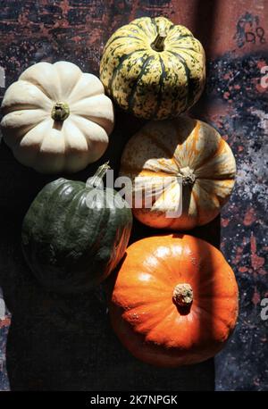 Overhead von Kürbissen und Sorten von Squash im Sonnenlicht auf gesprenkelter Oberfläche angeordnet Stockfoto