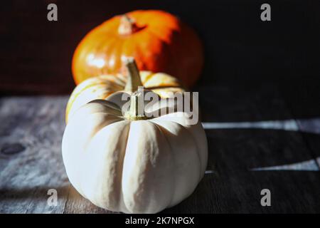 Anordnung von Kürbissen und Squashsorten in einer Reihe in hellem Sonnenlicht auf Holzoberfläche Stockfoto