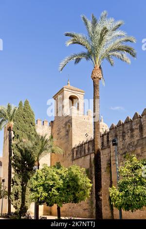 Alcazar der christlichen Könige, Alcázar de los Reyes Cristianos, Cordoba, Andalusien, Spanien Stockfoto