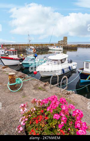 Fischerboote im Hafen im Küstendorf Dunure, South Ayrshire, Schottland, Großbritannien Stockfoto