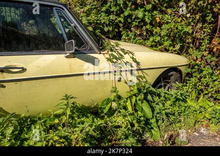 Steyning, Oktober 11. 2022: Verlassene MG BGT Sportwagen Stockfoto