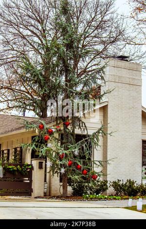 Hängende oder weinende Fichte vor dem Haus mit großen roten und schneebedeckten Weihnachtsdekorationen Stockfoto