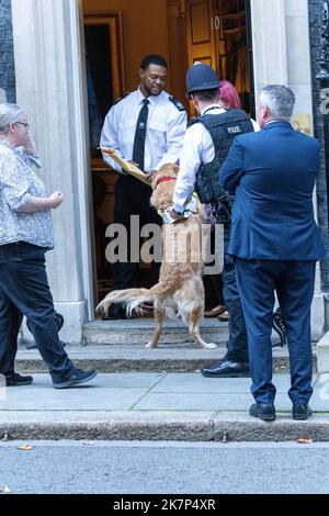 London, Großbritannien. 16. Oktober 2022. National Federation of the Blind UK gibt eine Petition an 10 Downing Street zur dringenden Notwendigkeit eines sicheren Zugangs an Bushaltestellen in Großbritannien ab; fordert direkten Zugang zum und vom Bus vom Bürgersteig aus, ohne eine Fahrradspur überqueren oder betreten zu müssen. Erste Gutschrift: Ian Davidson/Alamy Live News Stockfoto