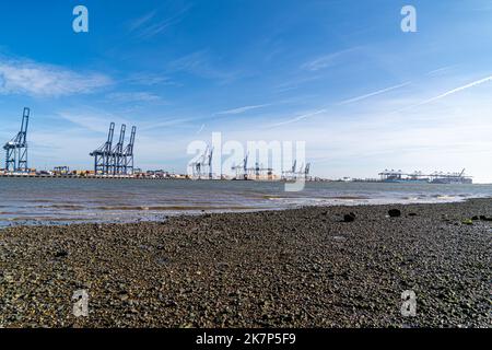 Feliistowe Suffolk UK Februar 1. 2022 Containerhafen von Opposite Inlet zeigt Container Ships und Container Handling Portalkrane Stockfoto