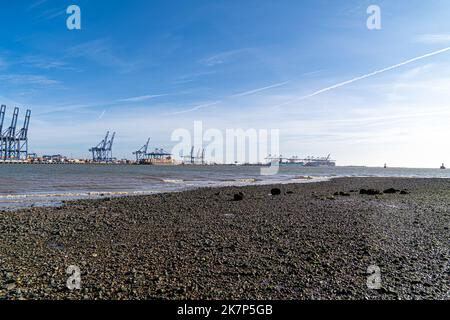 Feliistowe Suffolk UK Februar 1. 2022 Containerhafen von Opposite Inlet zeigt Container Ships und Container Handling Portalkrane Stockfoto