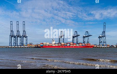 Feliistowe Suffolk UK Februar 1. 2022 Containerhafen von Opposite Inlet zeigt Container Ships und Container Handling Portalkrane Stockfoto