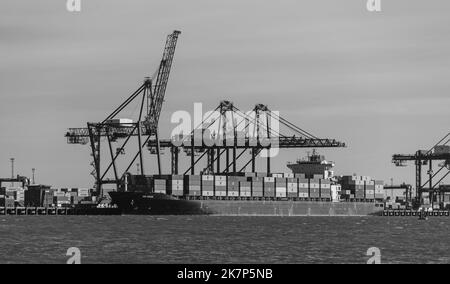 Feliistowe Suffolk UK Februar 1. 2022 Containerhafen von Opposite Inlet zeigt Container Ships und Container Handling Portalkrane Stockfoto